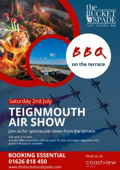 Teignmouth Air Show Poster